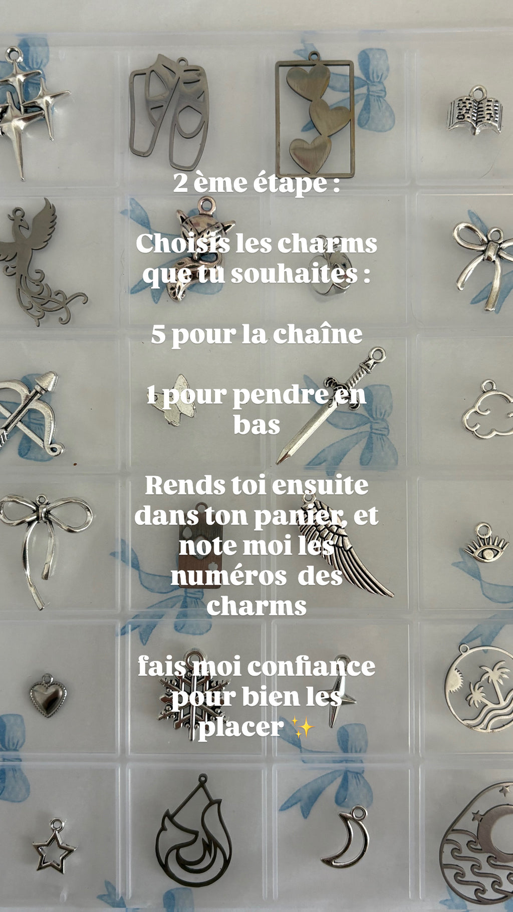 Bijou liseuse personnalisable